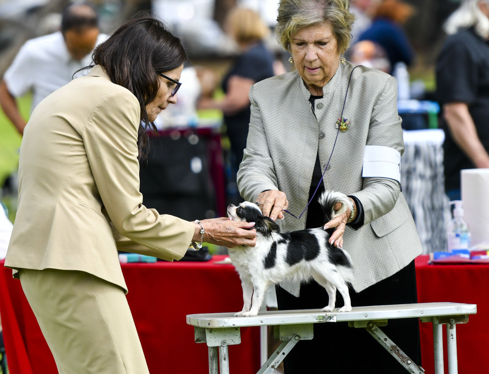 073121 Dog show 01.JPG